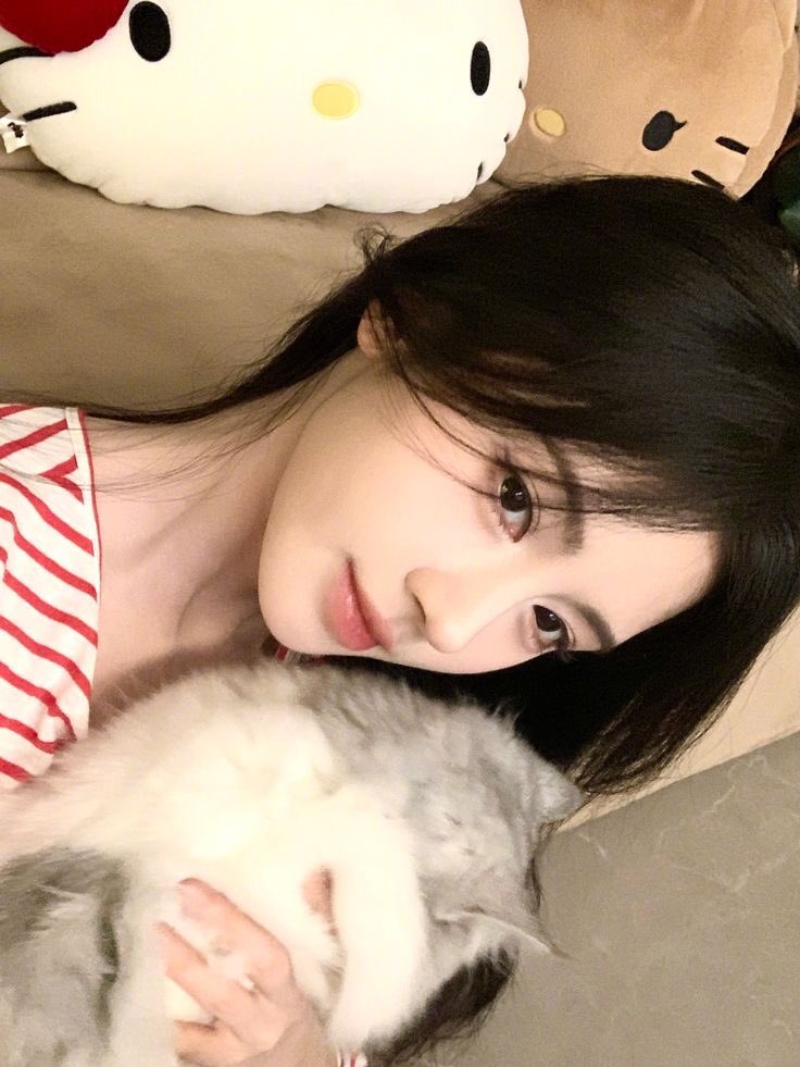 鞠婧禕KIKU. tweet media