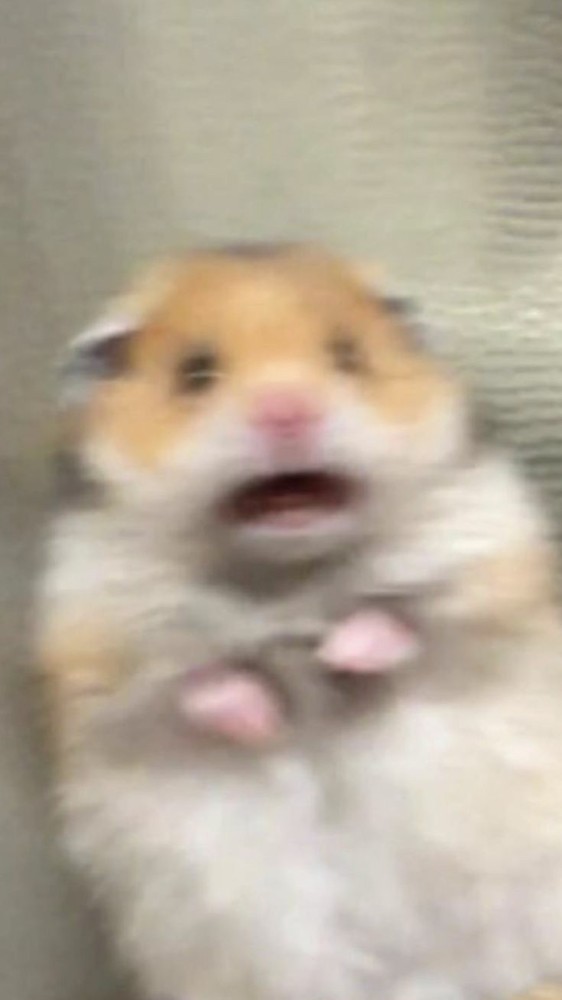 Kellogg's Enjoyer tweet media