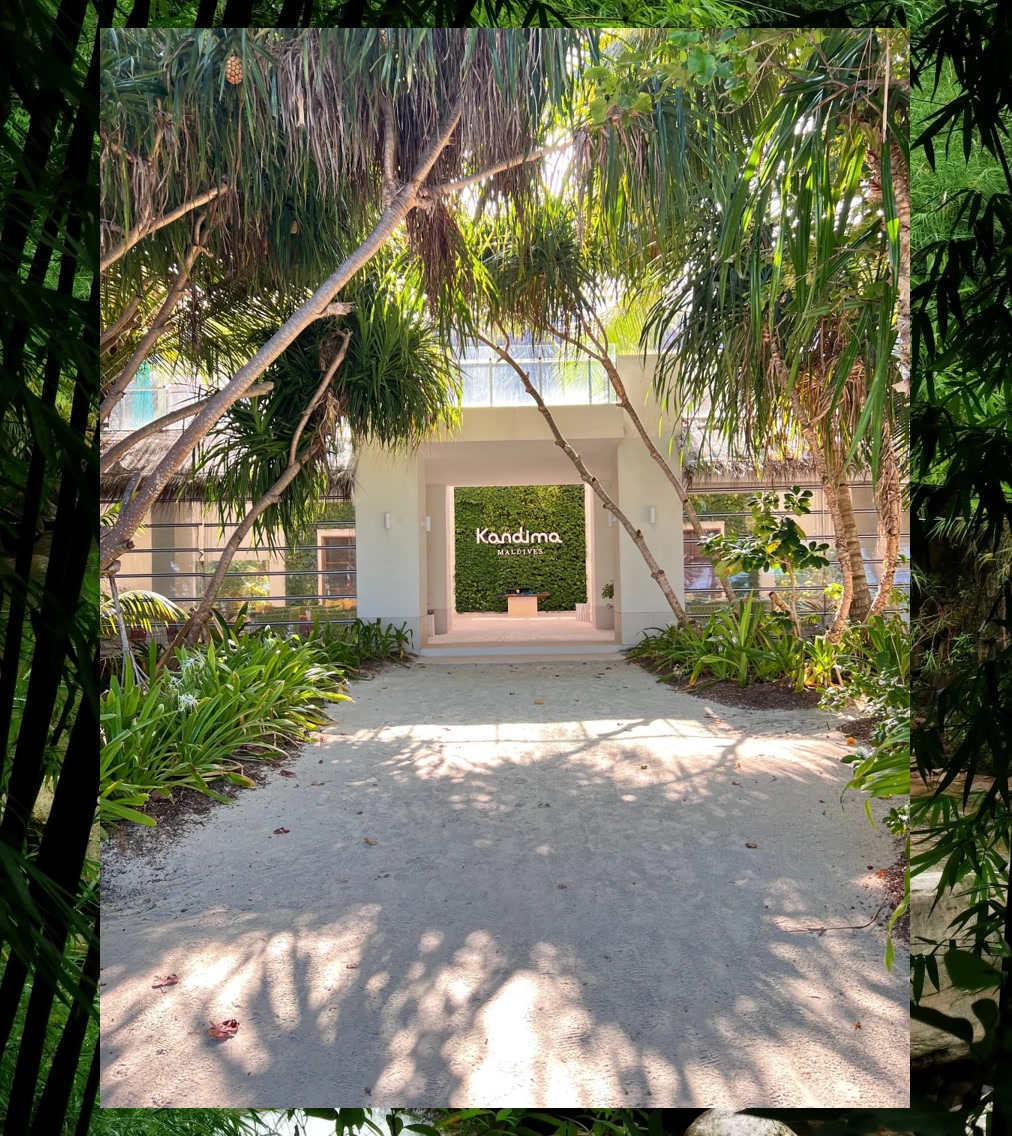 Mark Bader tweet media