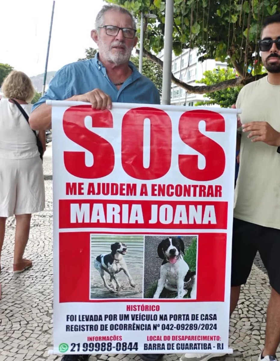Há dois anos, esse senhor sai todos os dias pelas ruas com um cartaz nas mãos, procurando pela sua cachorrinha… Ela foi levada na Barra da Guaratiba, no Rio de Janeiro. Dois anos de saudade, de esperança e de um amor que não desistiu. Vamos fazer viralizar pra ajudar!