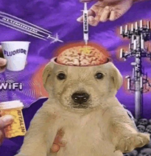 sam 🌊🐝 tweet media