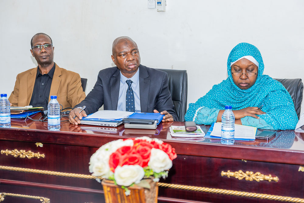 PNUD MALI tweet media