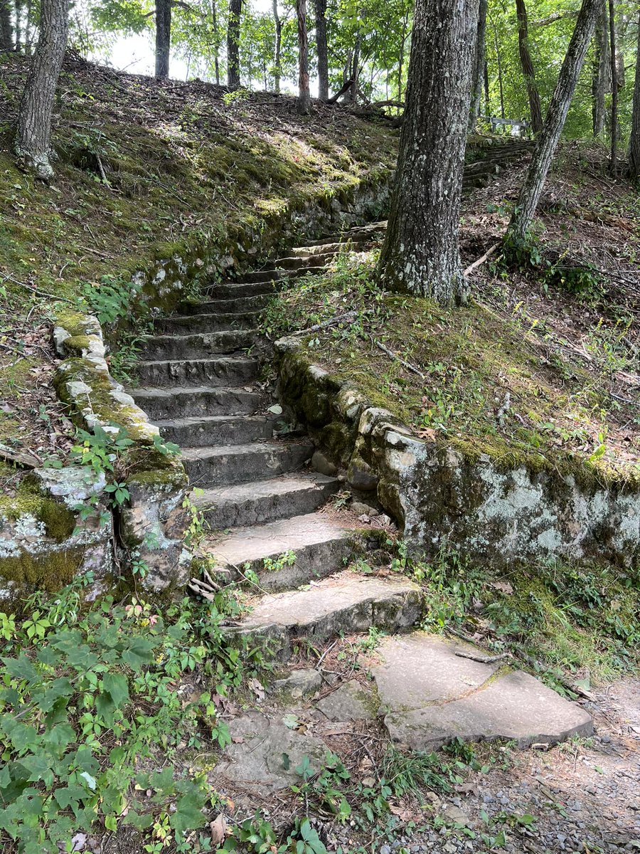 daveglhr's tweet image. "and when nobody wakes you up in the morning, and when nobody waits for you at night, and when you can do whatever you want. What do you call it, freedom or loneliness?" -Charles Bukowski
#quotes #mindset #values #peace #love #freedom #loneliness #reflection #inspiration