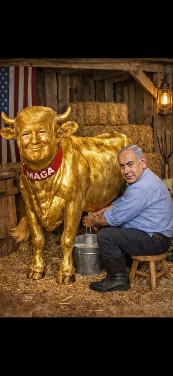 Rocky Mountain High 💙 🌎 🇺🇸 tweet media