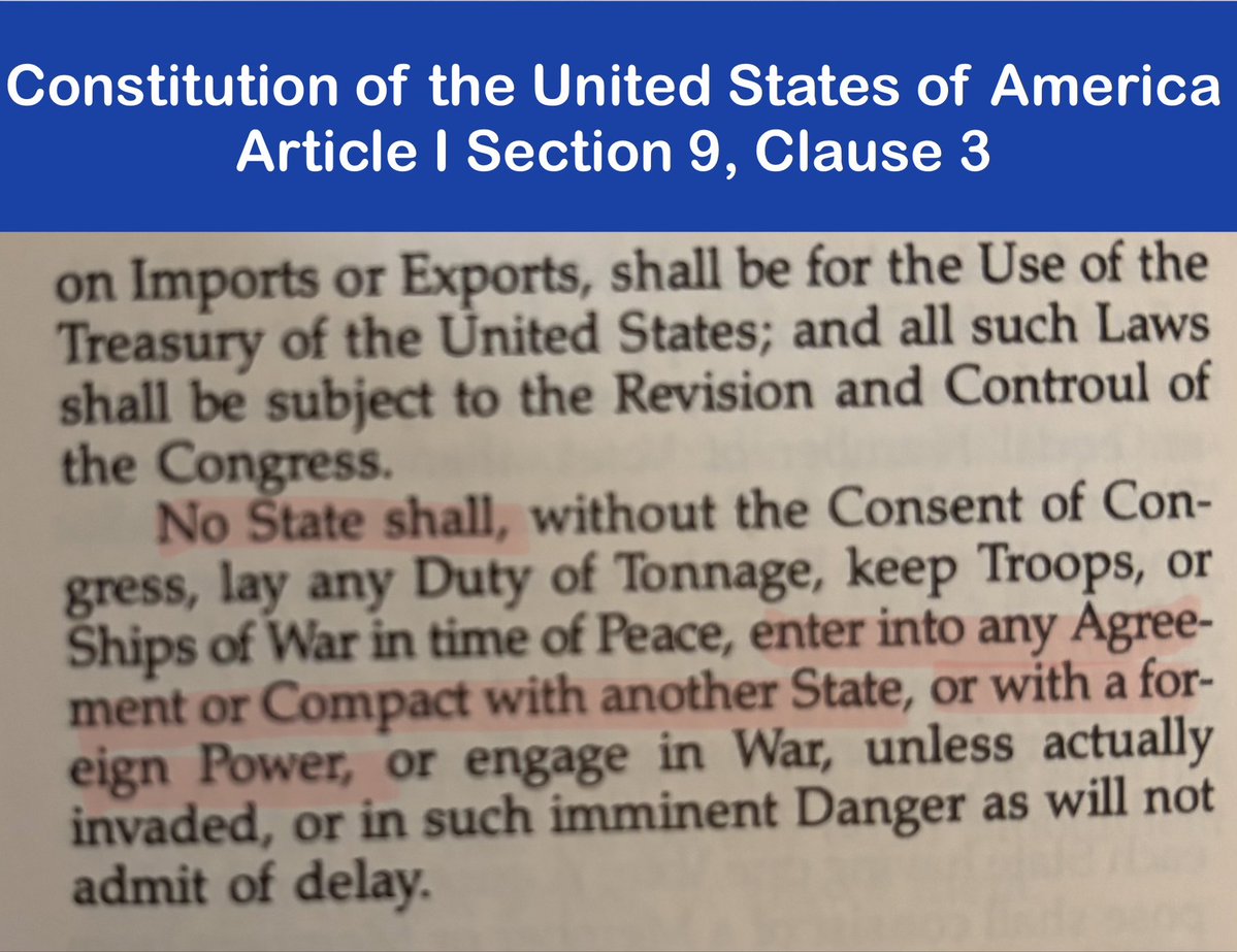 CommonlawKittie tweet media