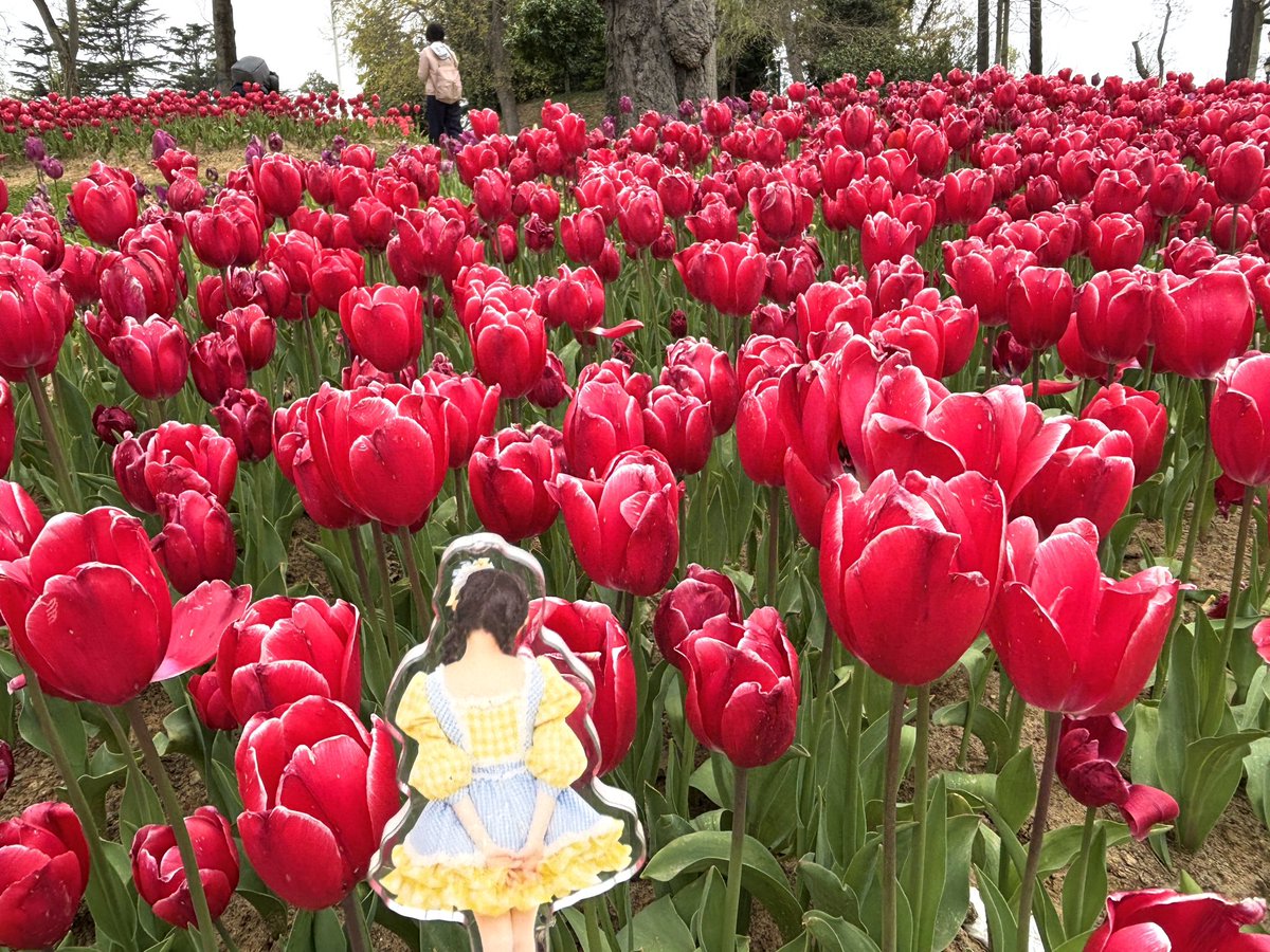 ちゃなず tweet media