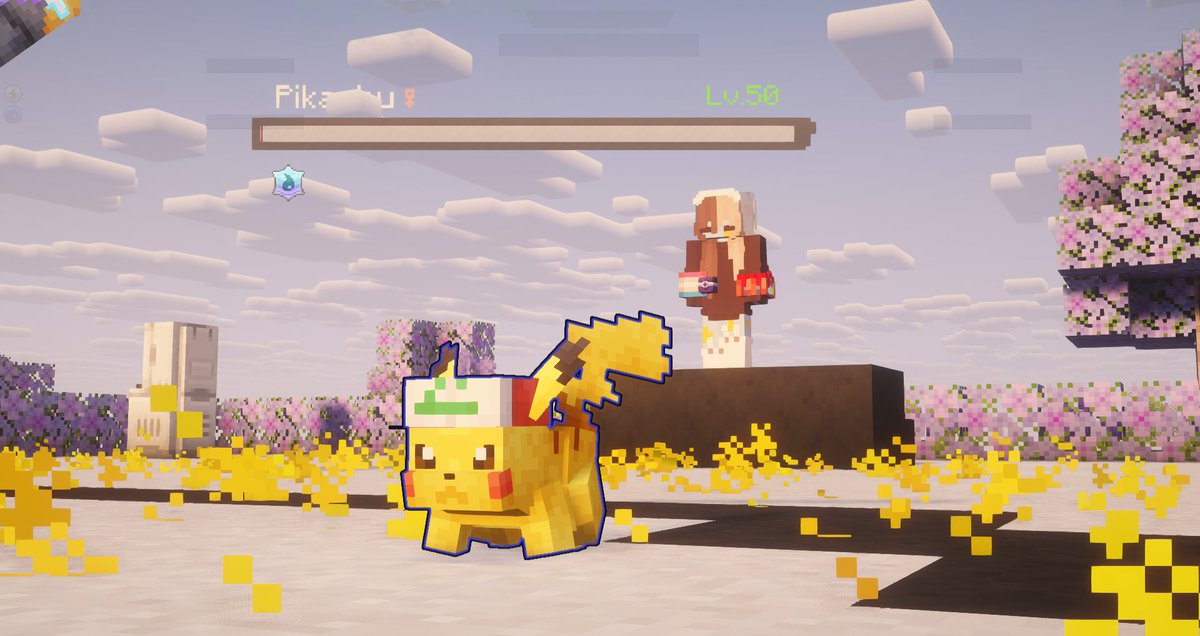 Catch’Em SMP tweet media