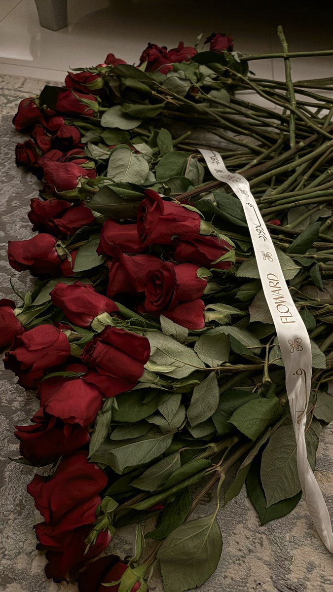 شمس المعارف tweet media