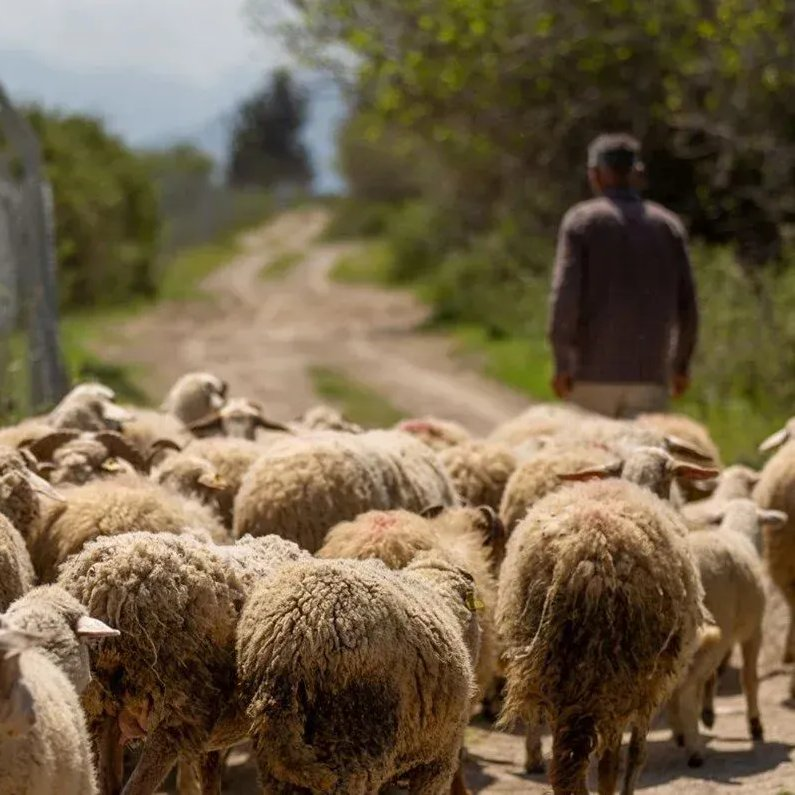 Boşuna Tıklama tweet media