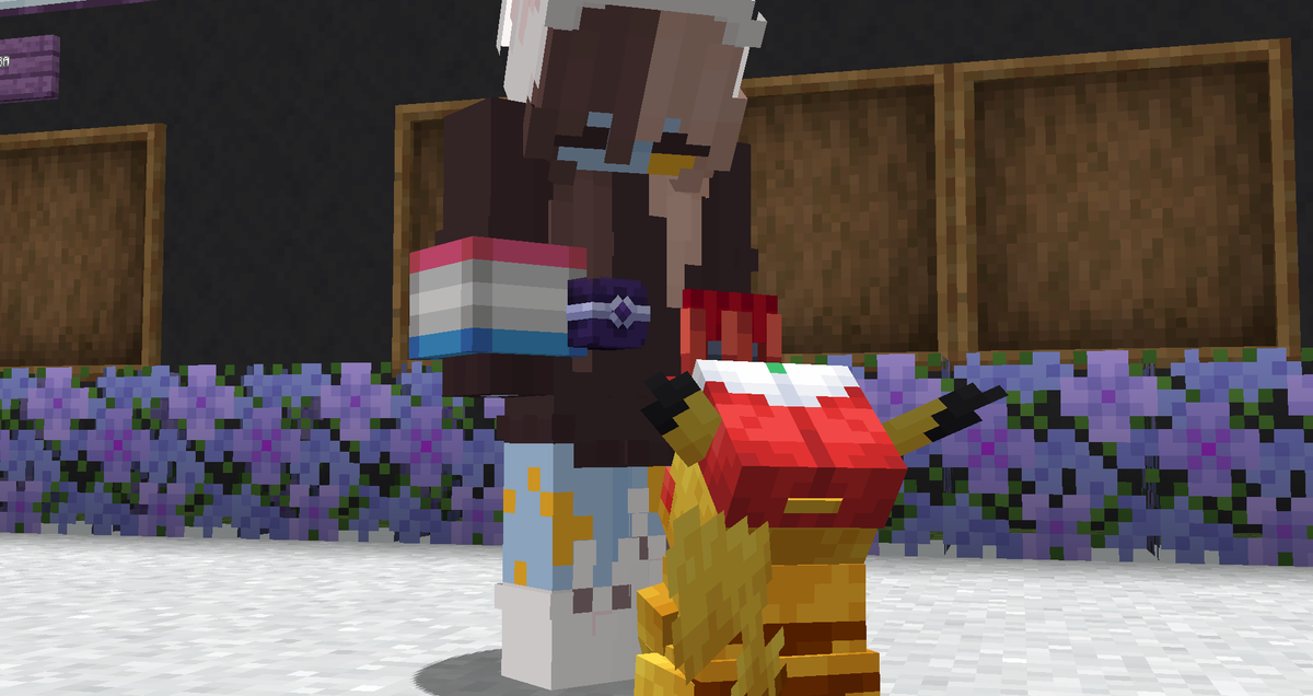 Catch’Em SMP tweet media