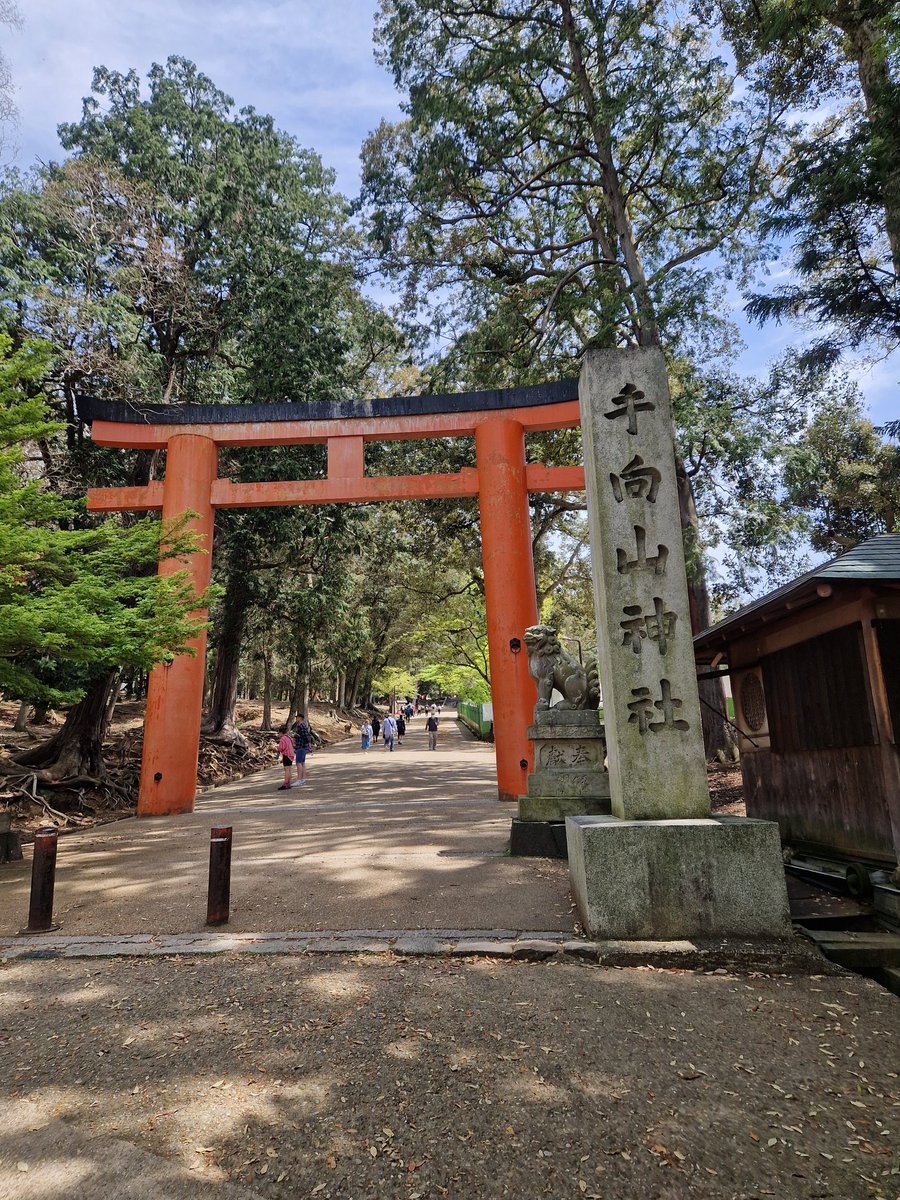 ailecvazz's tweet photo. Cuarto día - Osaka🎏🧧 https://t.co/3GutcDTiM4