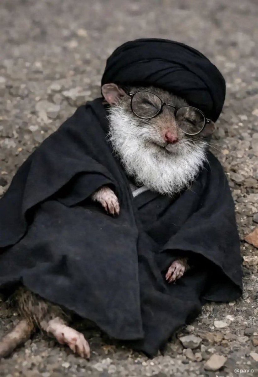 القوة السياسية tweet media