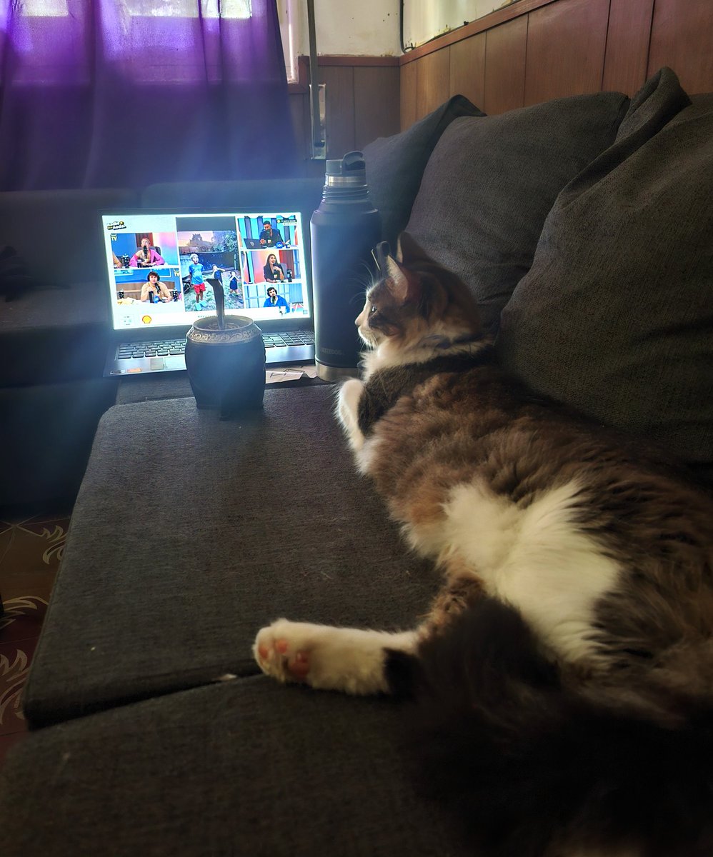 Bueeewwen dia! Siempre atento Goku a escucharlos  😻 #nadiedicenada <a href="/nadiedicenada_/">NADIE DICE NADA</a> <a href="/LuzuComunidad/">LUZU TV</a>