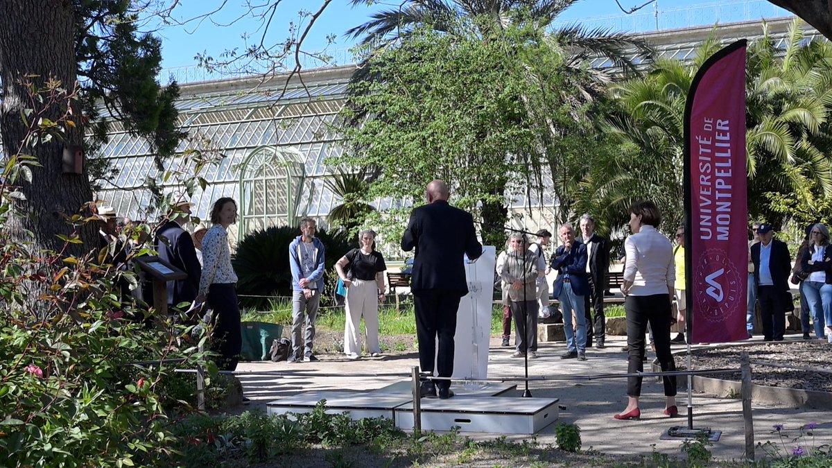 ecom_news's tweet image. 🏛️ 🌿 #Montpellier : Coup de projecteur sur le Jardin des Plantes. Comment l’ @umontpellier s'engage pour maintenir un site scientifique vivant ? Reportage #vidéo 🔗 bit.ly/4cnYpy5 @Philippe_Auge @MDelafosse @Montpellier3m @montpellier_