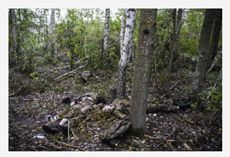 Toi van Gelder tweet media