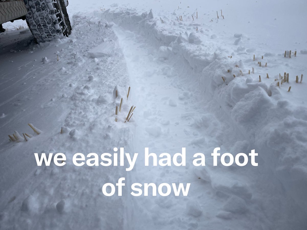 GACowEmporium's tweet image. Southern Alberta had a dump of snow that started Wednesday evening and quit Thursday at 5 pm. We thank you in advance our moisture isn’t white next time.  😉🥶🤞 #alberta #snowstorm #calving