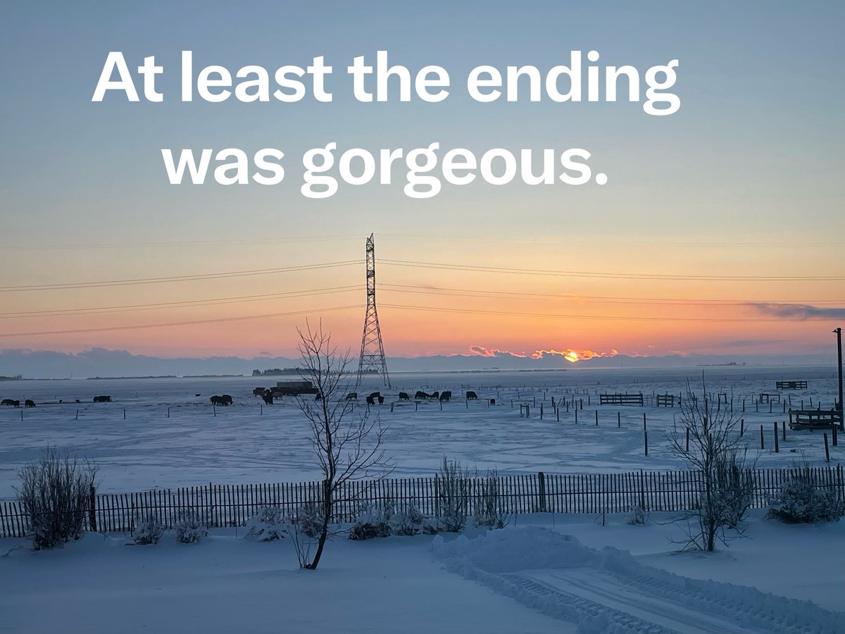 GACowEmporium's tweet image. Southern Alberta had a dump of snow that started Wednesday evening and quit Thursday at 5 pm. We thank you in advance our moisture isn’t white next time.  😉🥶🤞 #alberta #snowstorm #calving