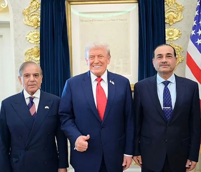 Aafia Movement tweet media