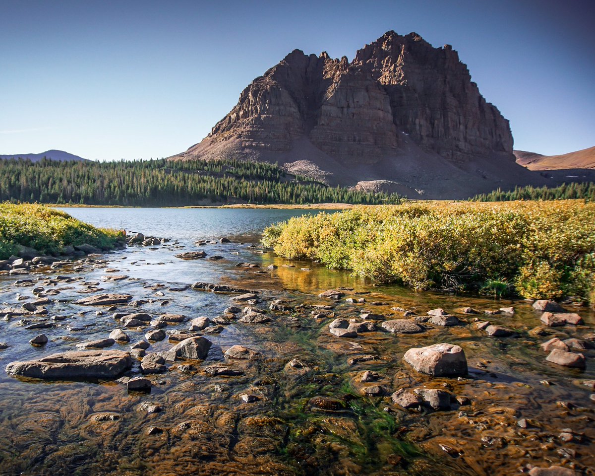 Average Homeboy BGXII. 🤙 tweet media