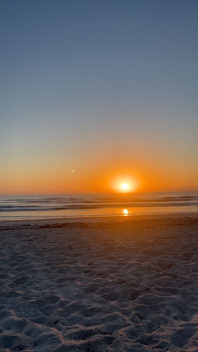 Sassafrass84 tweet media