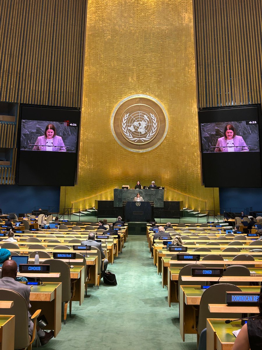 NZUN's tweet photo. Ongoing instability around the Strait of Hormuz is disrupting supply chains, energy markets, and food security worldwide. Civilians and the most vulnerable are paying the price. Safe passage and deescalation are urgent.

The General Assembly met yesterday to discuss the use of the veto used against Resolution 76/262, a resolution to affirm navigational rights and freedoms.