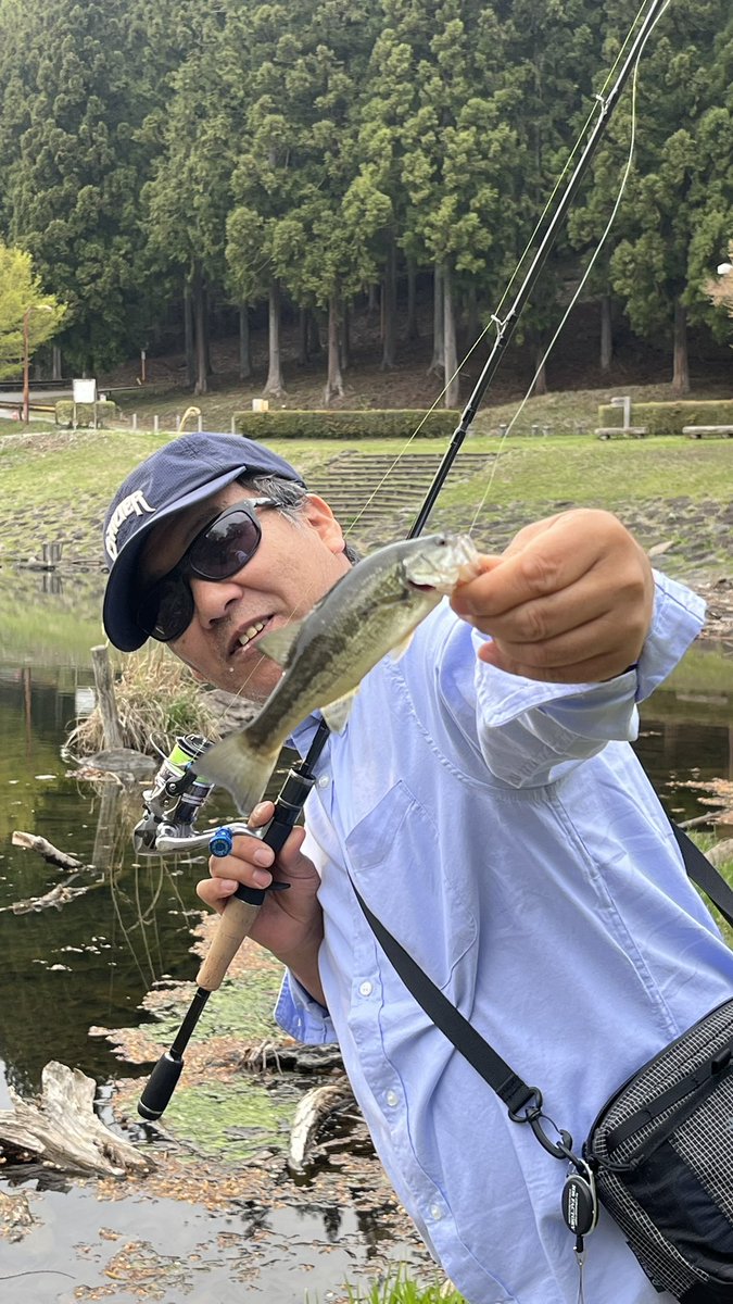 カエルオヤジ🐸広告有り tweet media