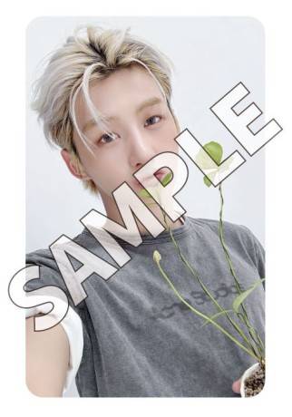 まいのこ tweet media