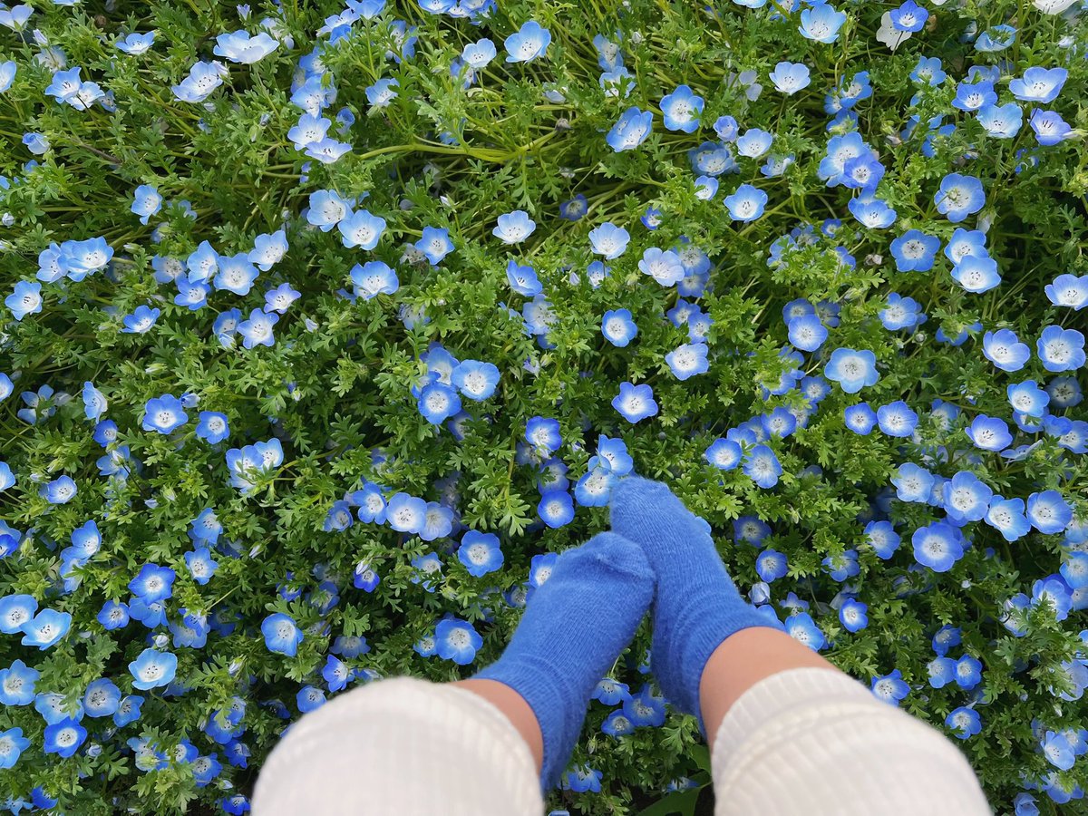 Numkang なむ tweet media