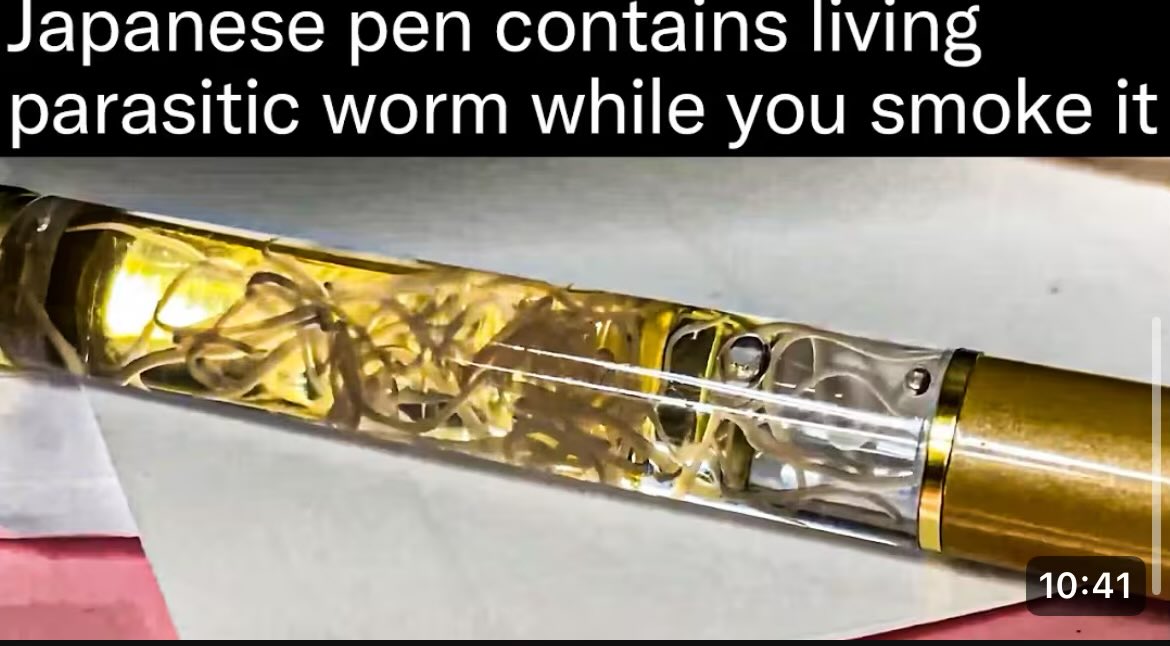 Pebbletail (🏳️‍⚧️ SOON) tweet media