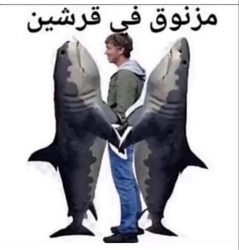 kat397591's tweet photo. @MazidNews ده عرص https://t.co/UM40f58yAH