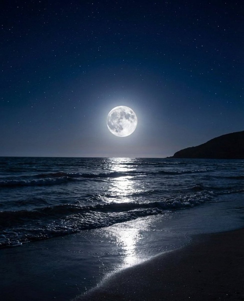 MOON LOVER tweet media