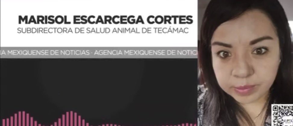 MundoPatitas's tweet photo. La MVZ MarIsol Escárcega Cortés fue la encargada del Centro de Bienestar Animal en Tecamac, en el periodo en el que se sacrificaron al menos 10 mil animales, cuando la hoy Senadora de Morena, Mariela Gutiérrez Escalante, fue presidenta municipal, y ella no tiene fuero. 

#NiPerdonNiOlvido