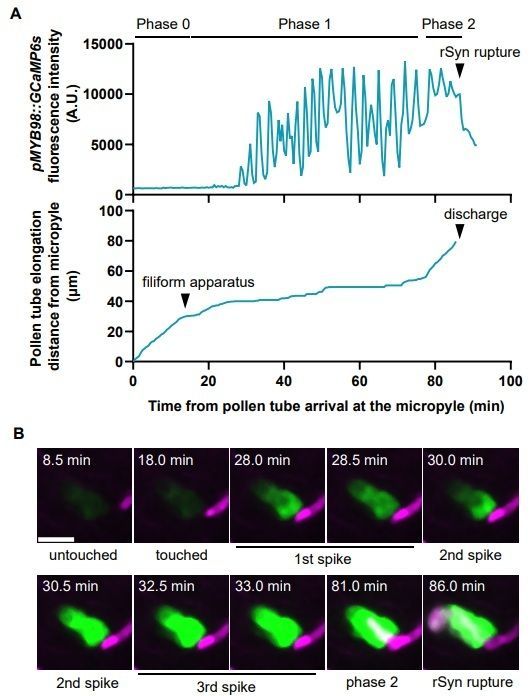 Plant Science tweet media