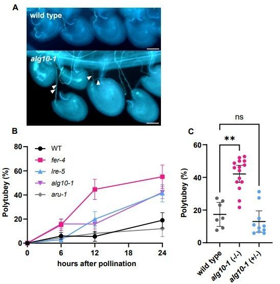 Plant Science tweet media