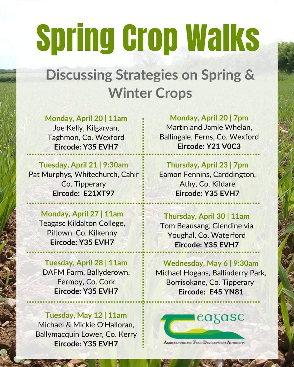 Teagasc tweet media