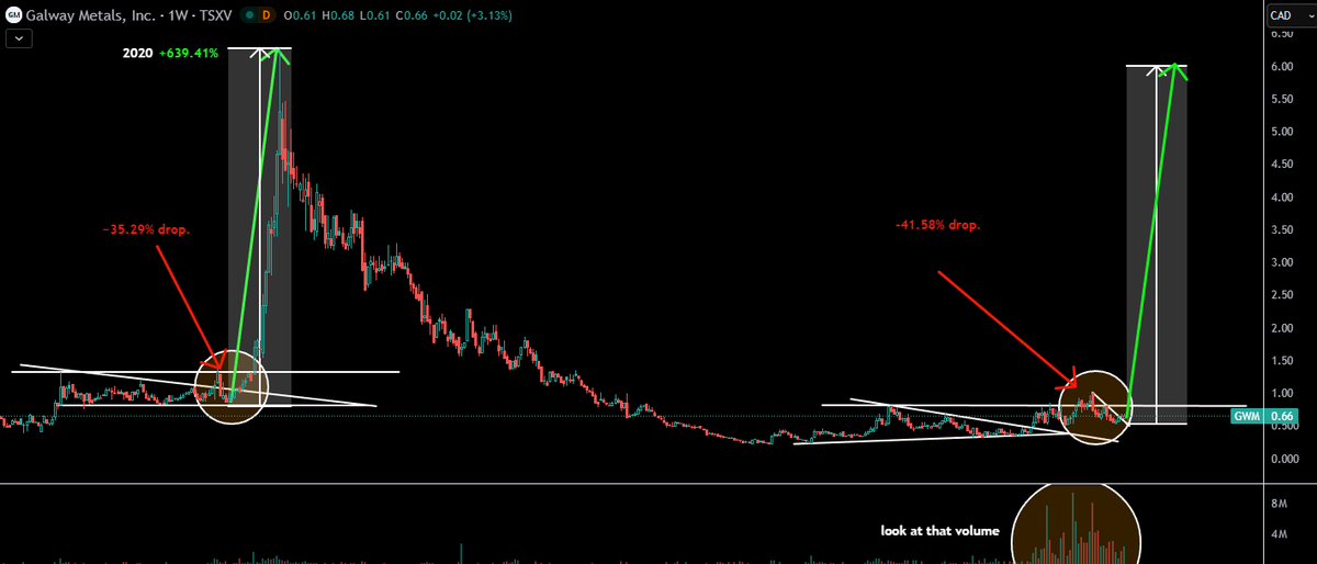 TheApeOfGoldStreet tweet media