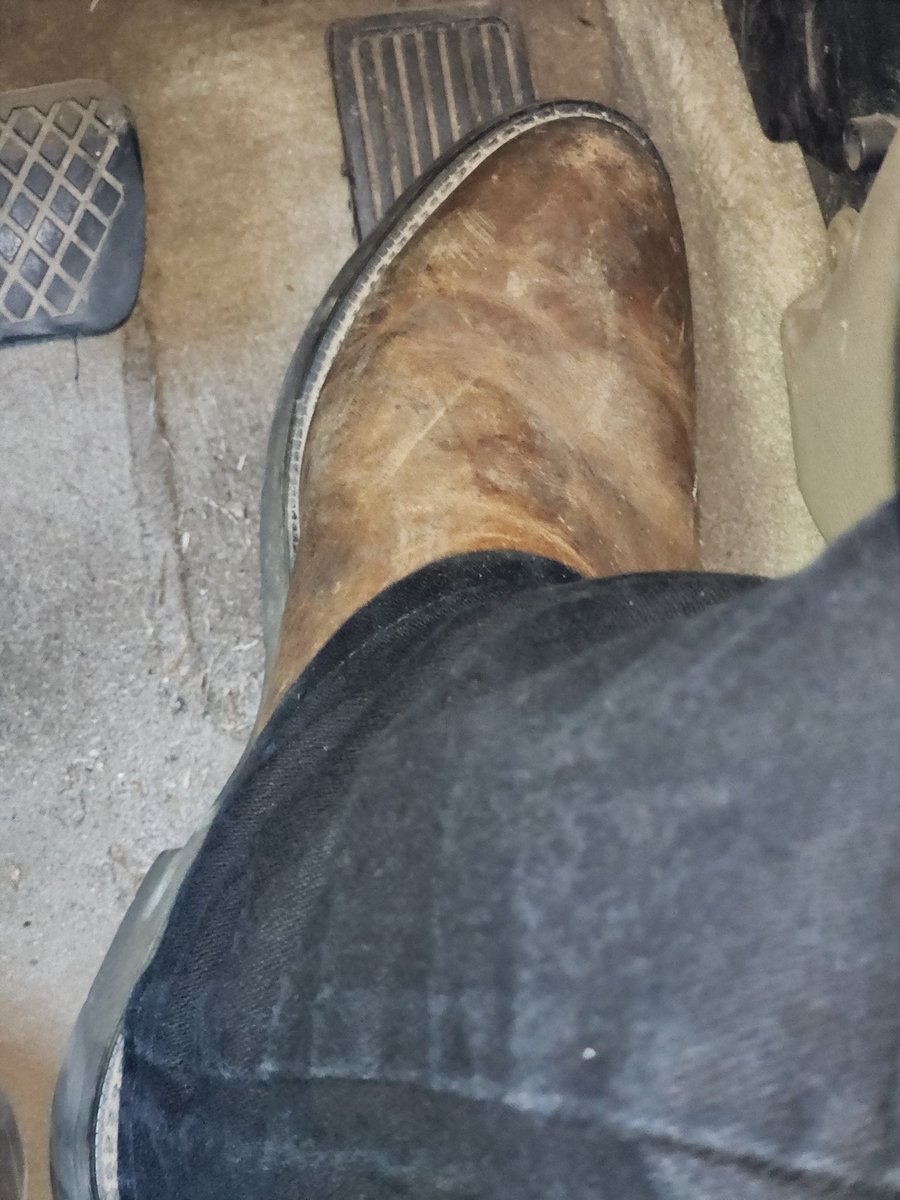 Bootguy_louisiana tweet media