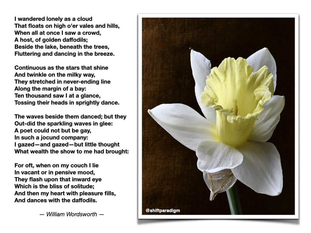 ShiftParadigm's tweet image. Morning thought... #943 #quotesoftheday #edchat #wordsworth