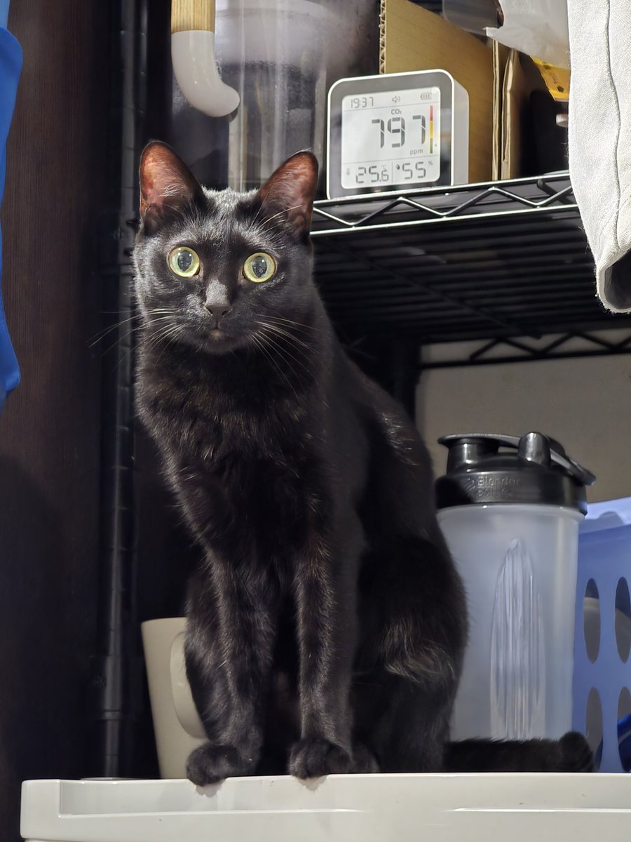 Emil Chou@台灣G+遺民 tweet media