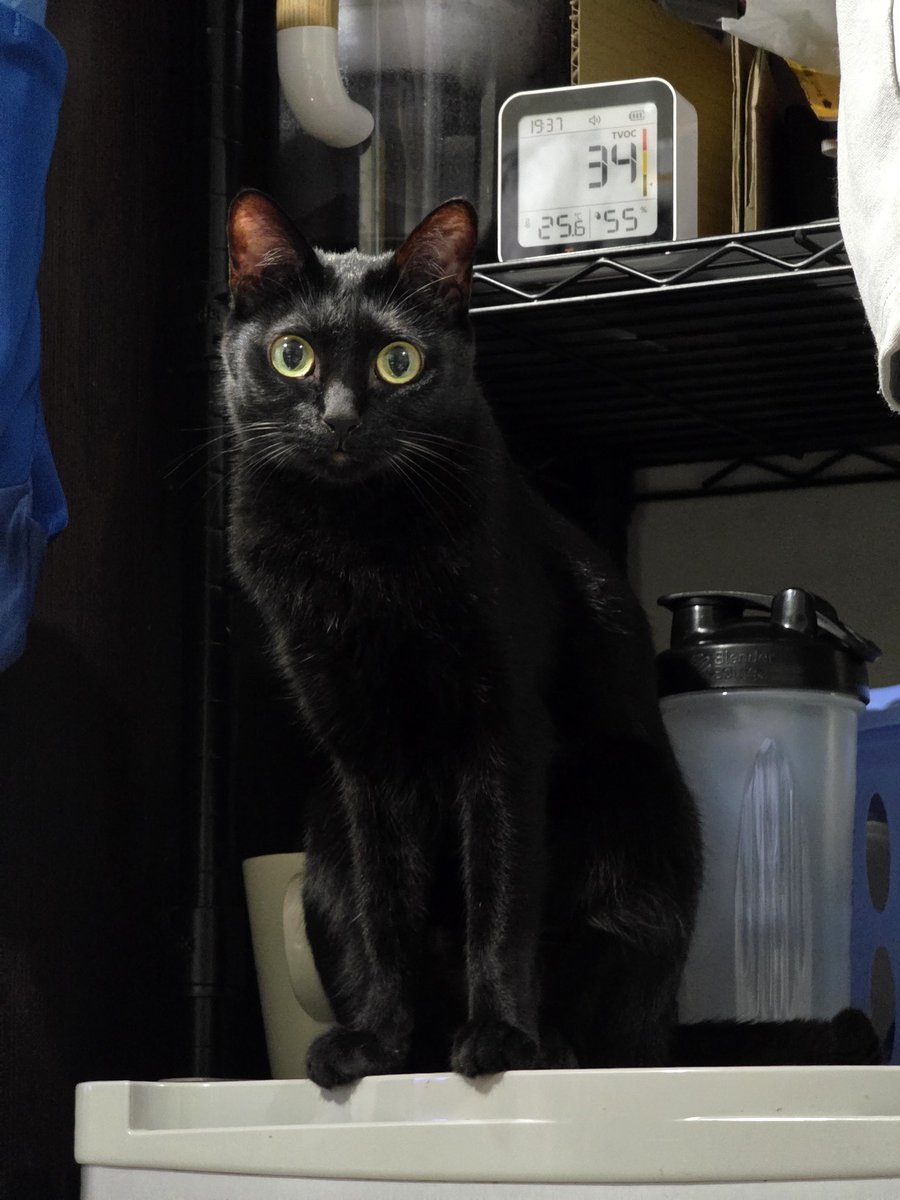 Emil Chou@台灣G+遺民 tweet media