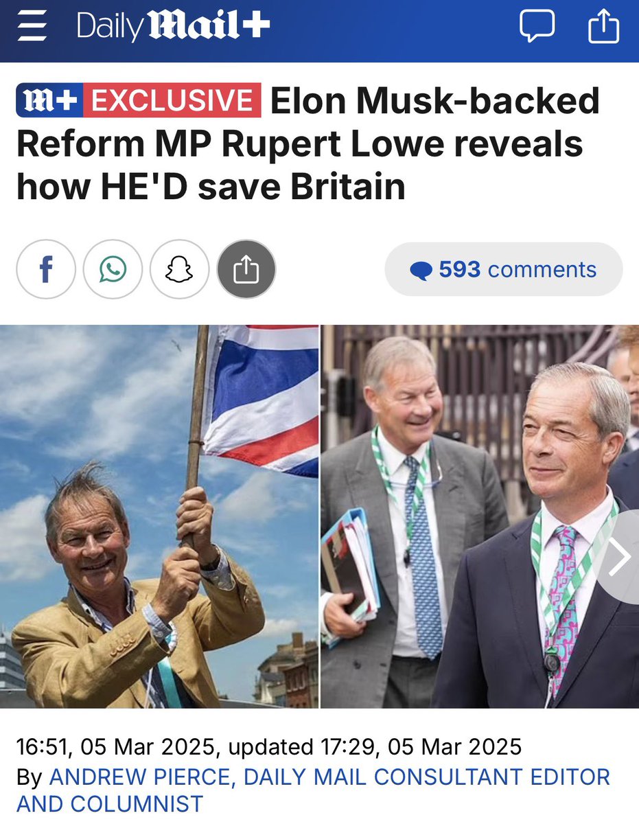 Wolf 🐺 tweet media