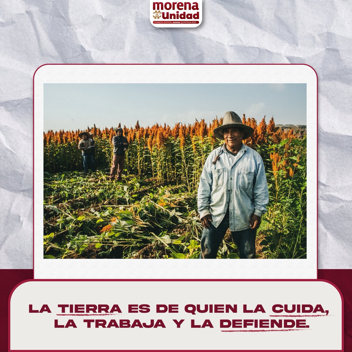 morena en Quintana Roo tweet media