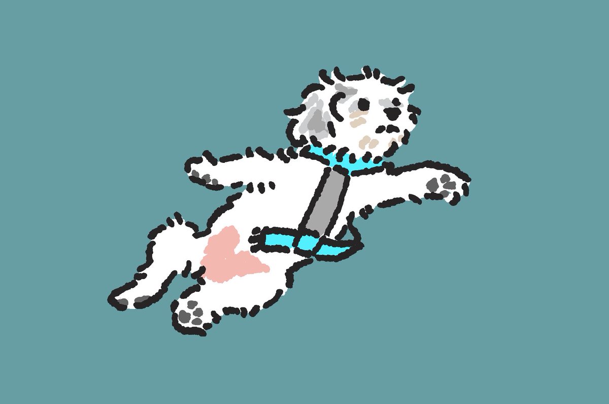 올챙이가된개구리 tweet media