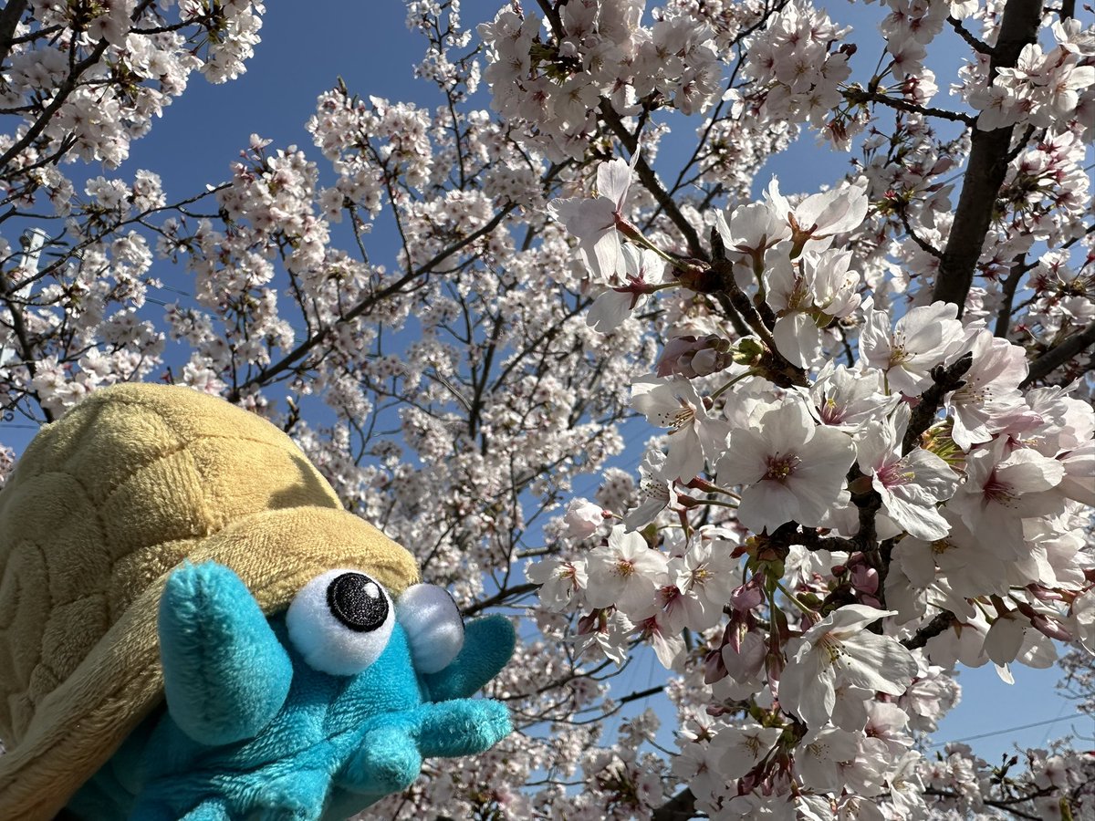 オムオム⭐︎ナイトフィーバー tweet media