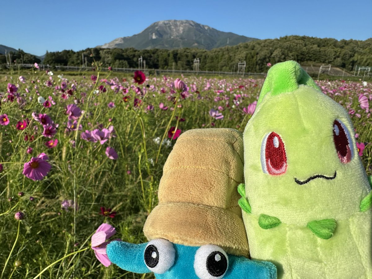 オムオム⭐︎ナイトフィーバー tweet media
