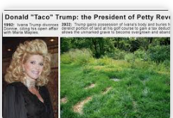 Brown Eyed Susan tweet media