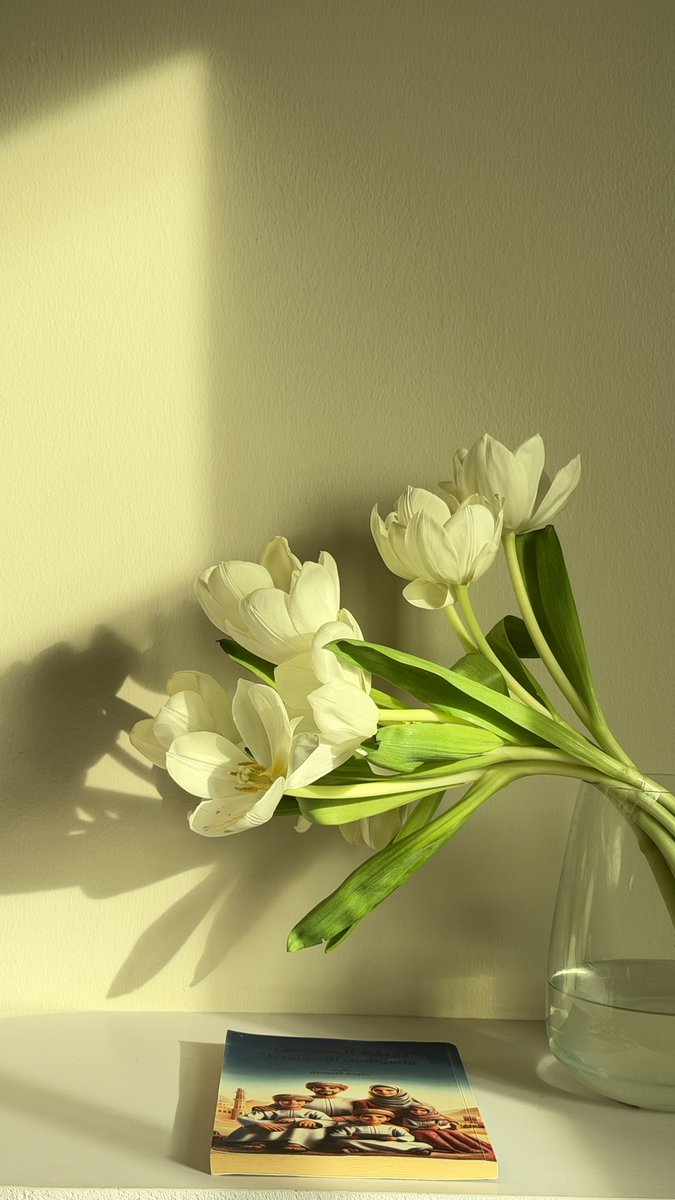 حليمة 🦋 tweet media