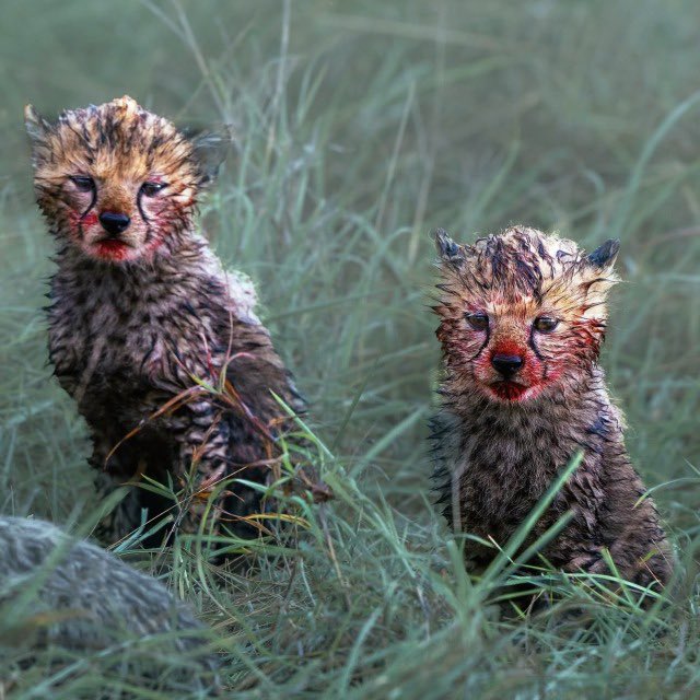 val ☆ 🧛🏽‍♀️ tweet media