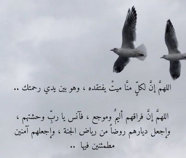 شـــمــس الــطفـوف(حساب دعم) tweet media