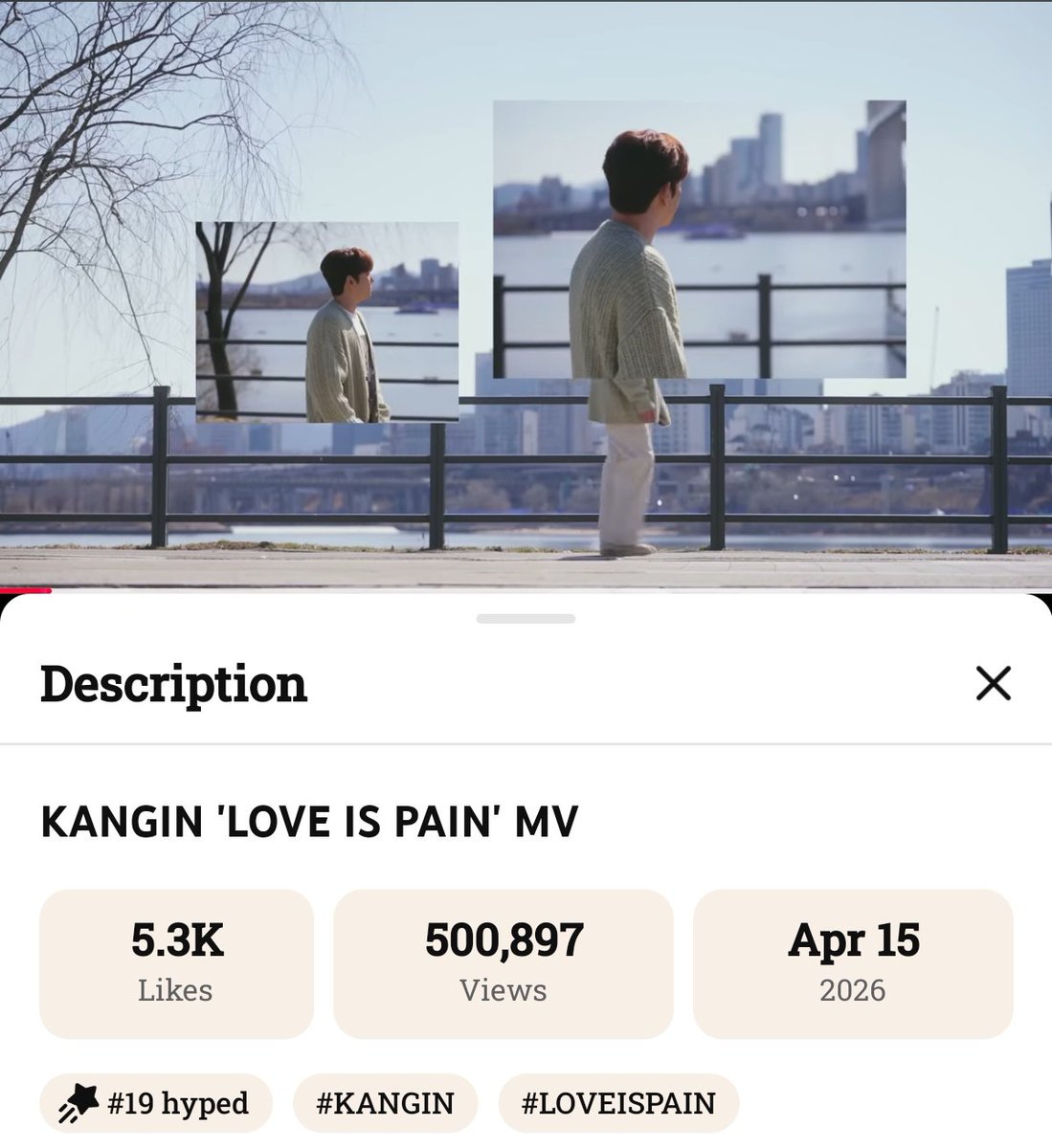 Mapachitas Team tweet media